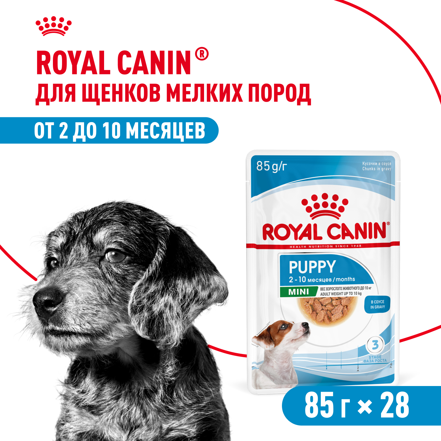 Royal Canin Mini Puppy пауч для щенков мелких пород (соус) (Птица, 85 г. упаковка 28 шт)