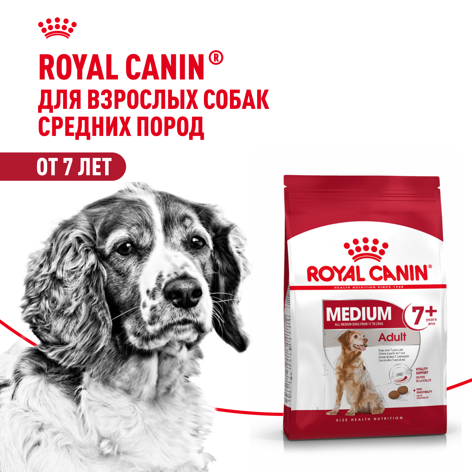 Корм сухой для взрослых собак средних размеров от 7 лет и старше, Medium Adult 7+