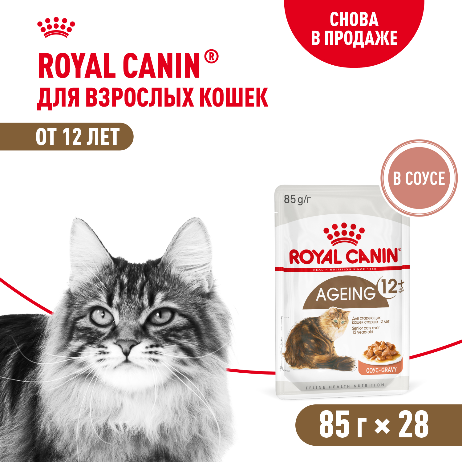 Royal Canin Ageing +12 пауч для кошек старше 12 лет