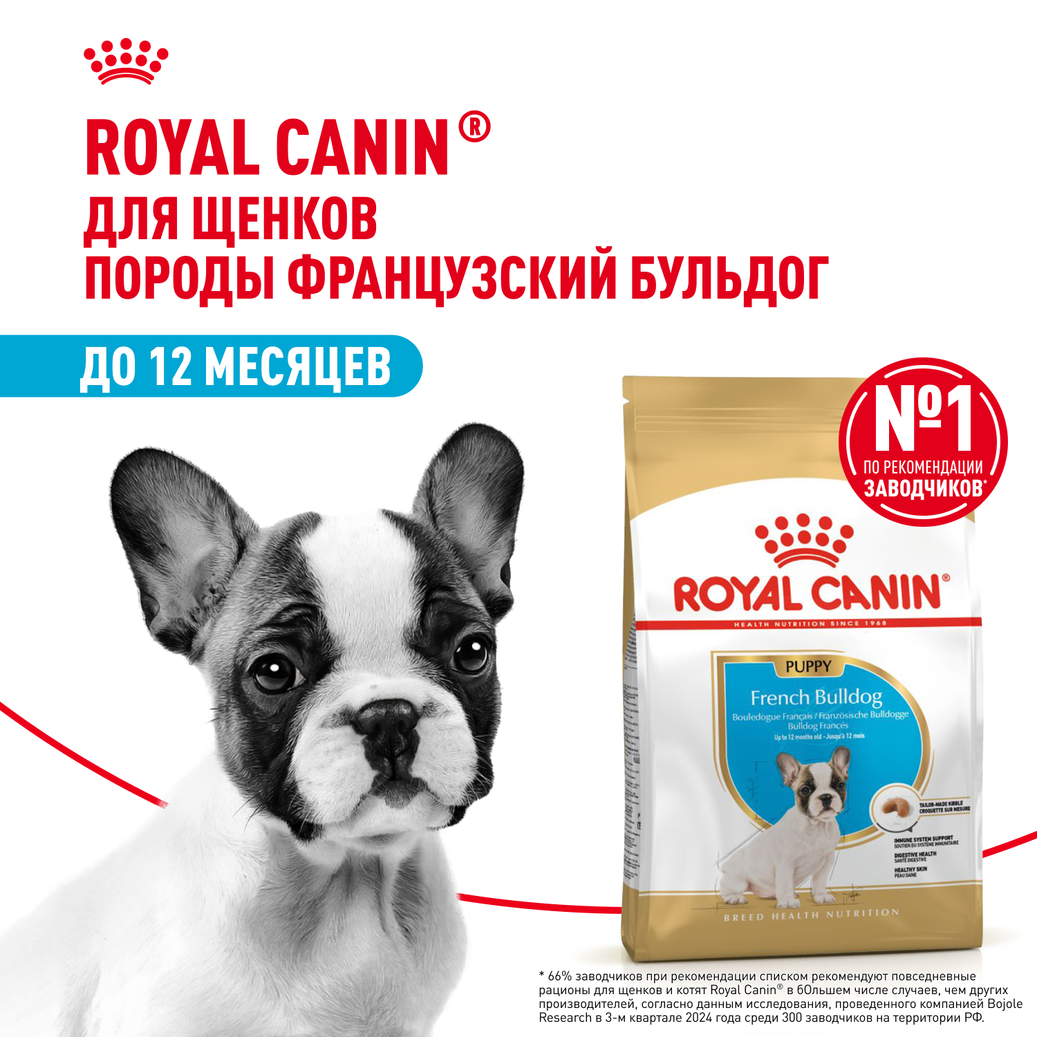 Royal Canin French Bulldog Puppy Корм сухой для щенков породы Французский Бульдог до 12 месяцев