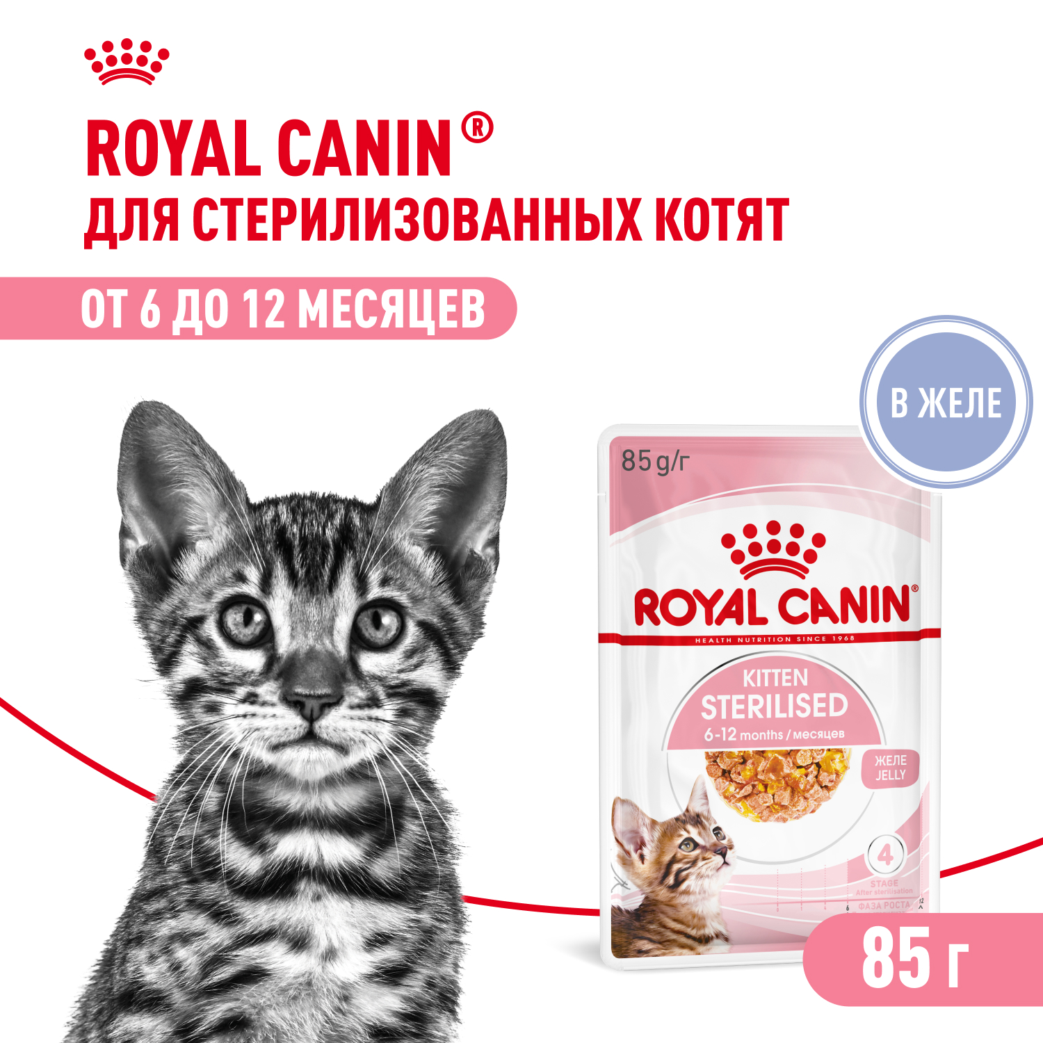 Royal Canin Kitten Sterilised пауч для котят (кусочки в желе) (Птица, 85 г.)