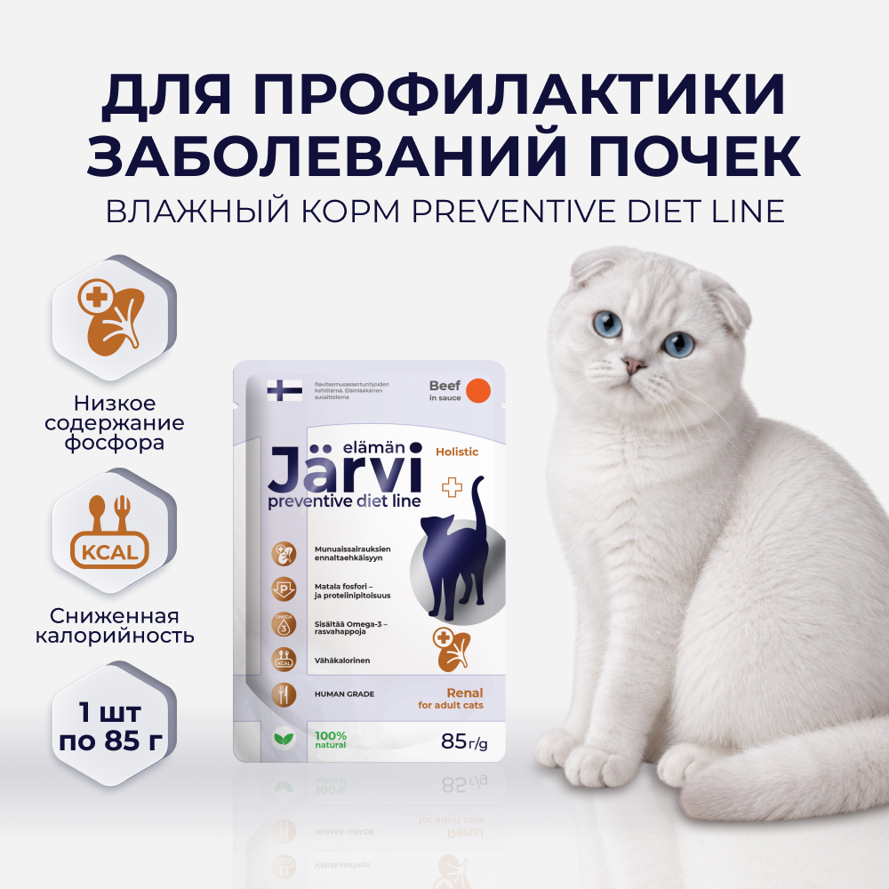 Jarvi Preventive diet line Renal пауч для кошек для профилактики заболеваний почек (соус) (Говядина, 85 г.)