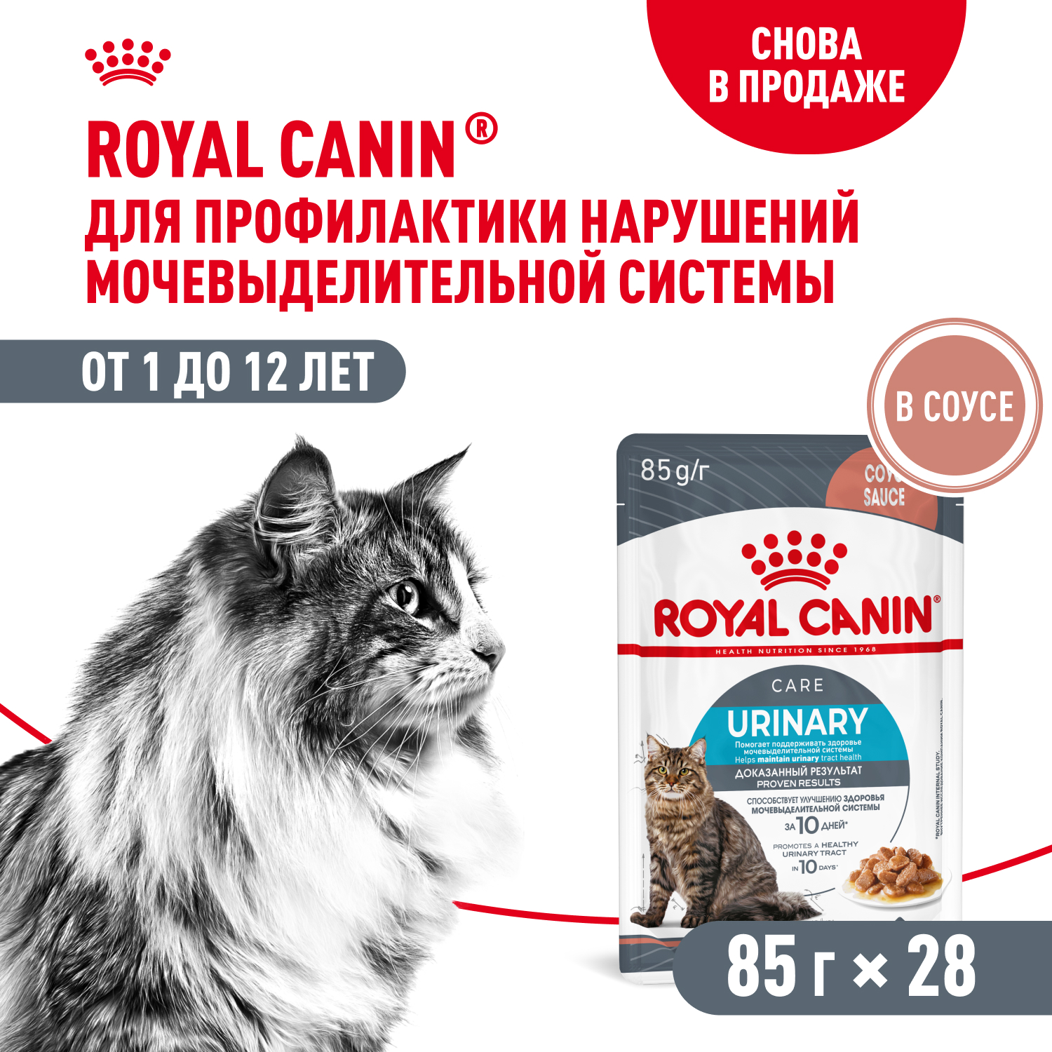 Royal Canin Urinary Care пауч для профилактики МКБ у кошек