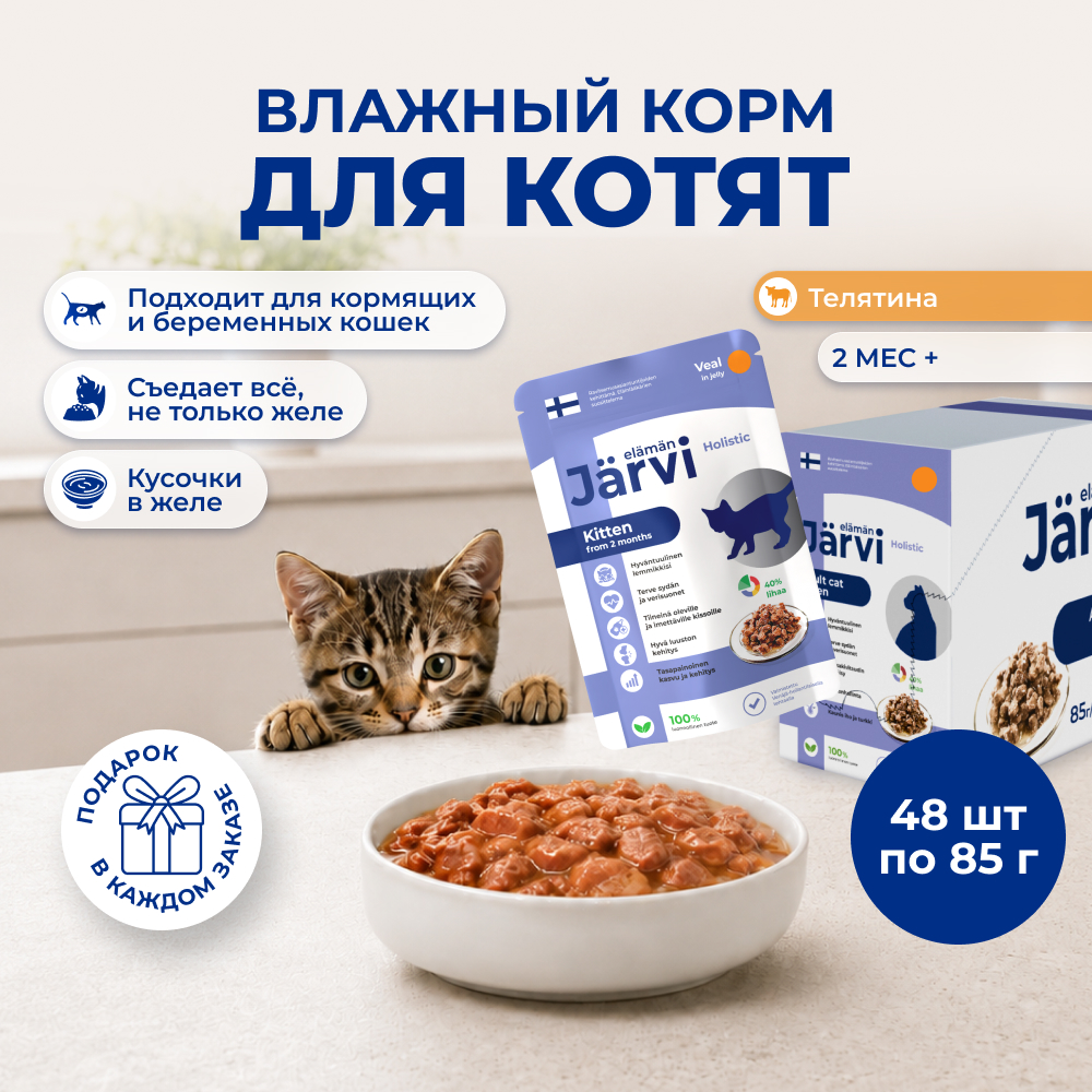 Jarvi пауч для котят и беременных кошек (кусочки в желе) (Телятина, 85 г. упаковка 48 шт)