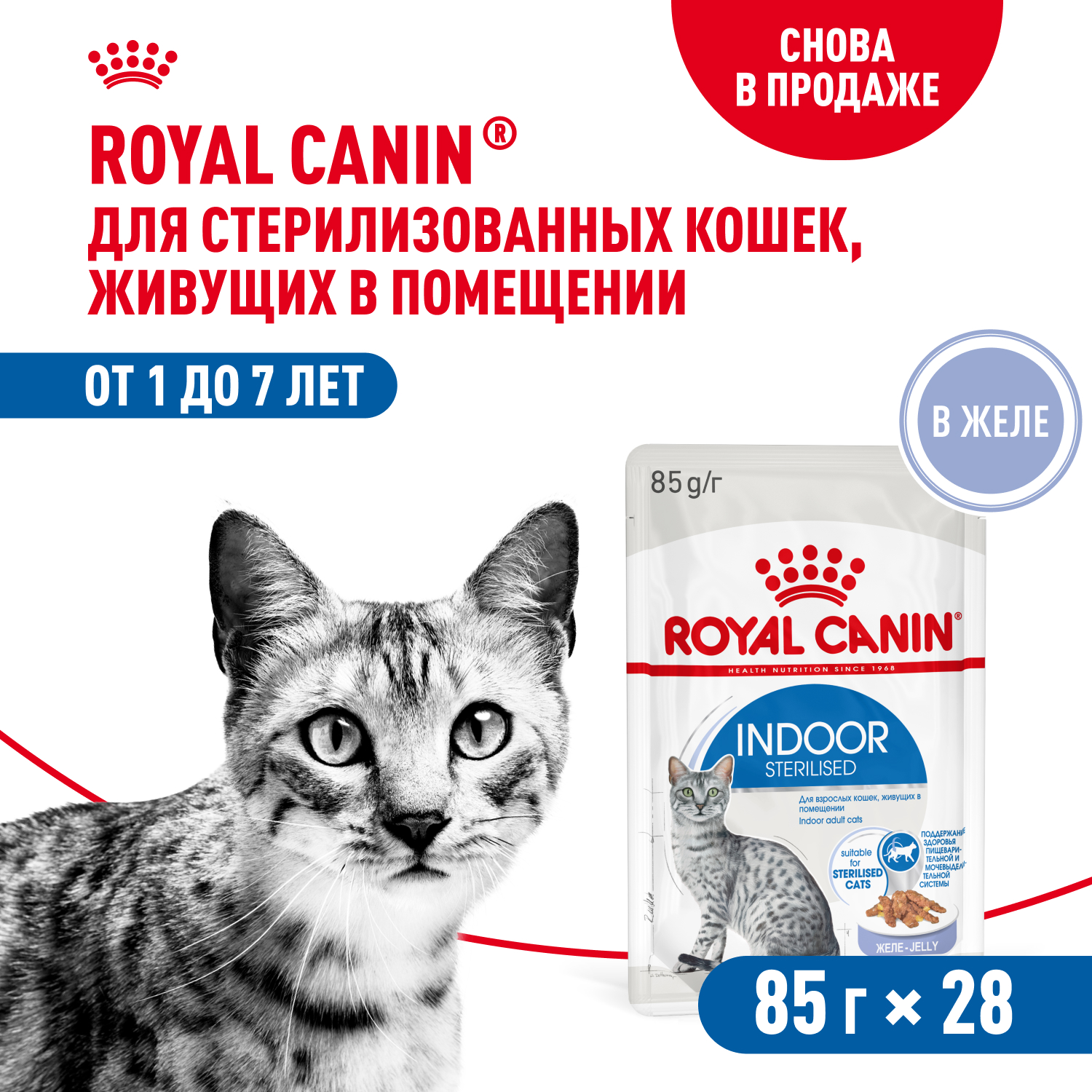Royal Canin Indoor Sterilised пауч для домашних кошек