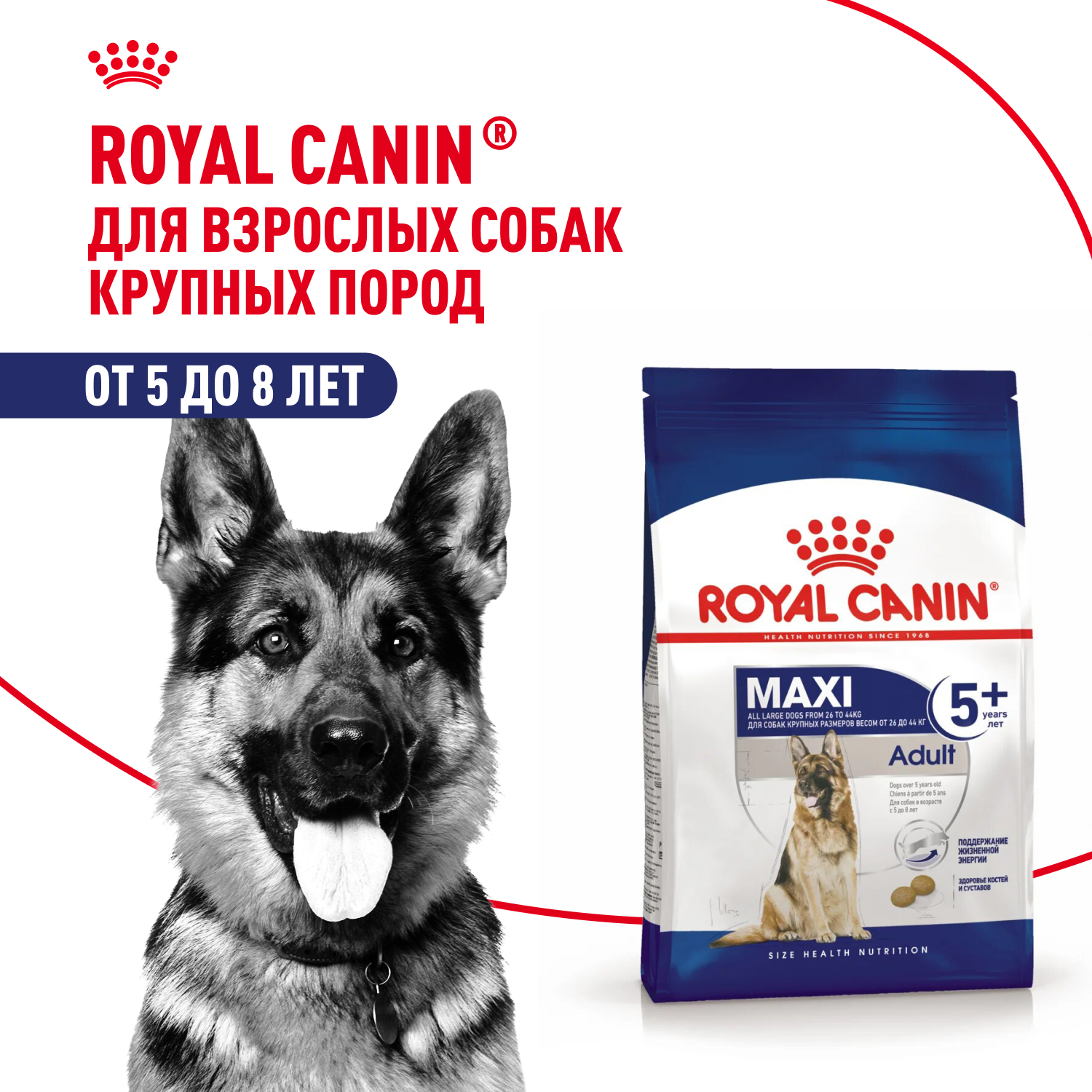 Royal Canin Maxi Adult 5+ для собак старше 5 лет крупных пород (Птица, 15 кг.)