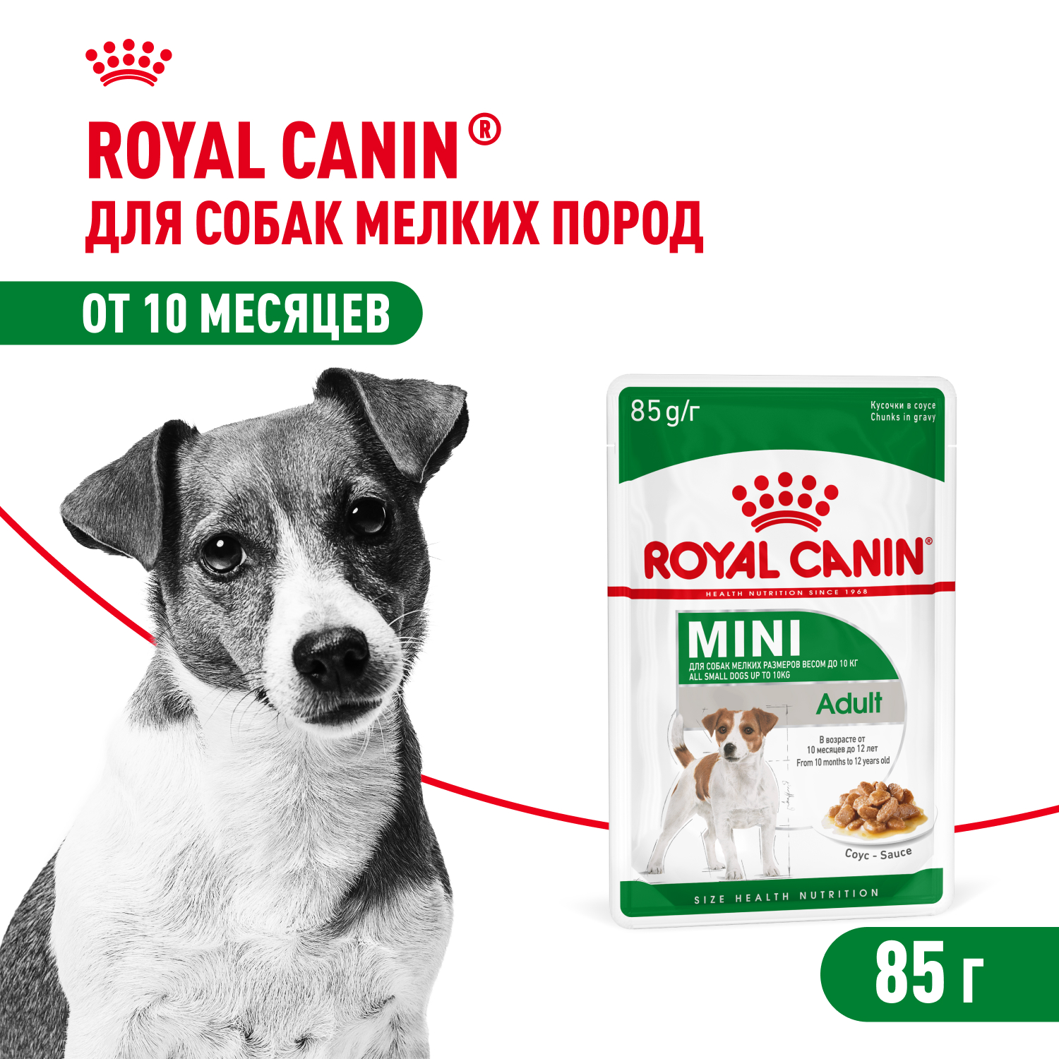Royal Canin Mini Adult пауч для взрослых собак мелких пород (соус) (Птица, 85 г.)