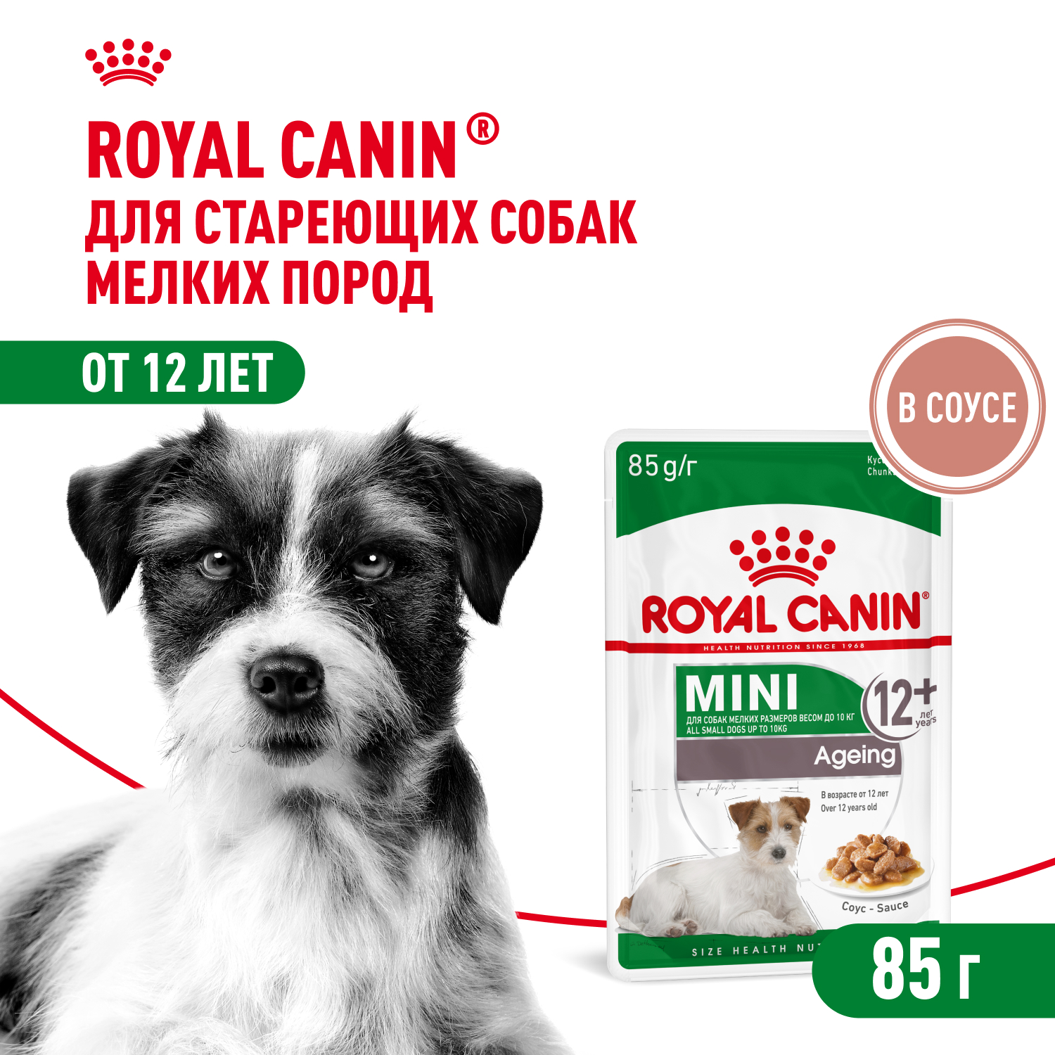 Royal Canin Mini Ageing 12+ пауч для собак мелких пород старше 12 лет (соус) (Птица, 85 г.)