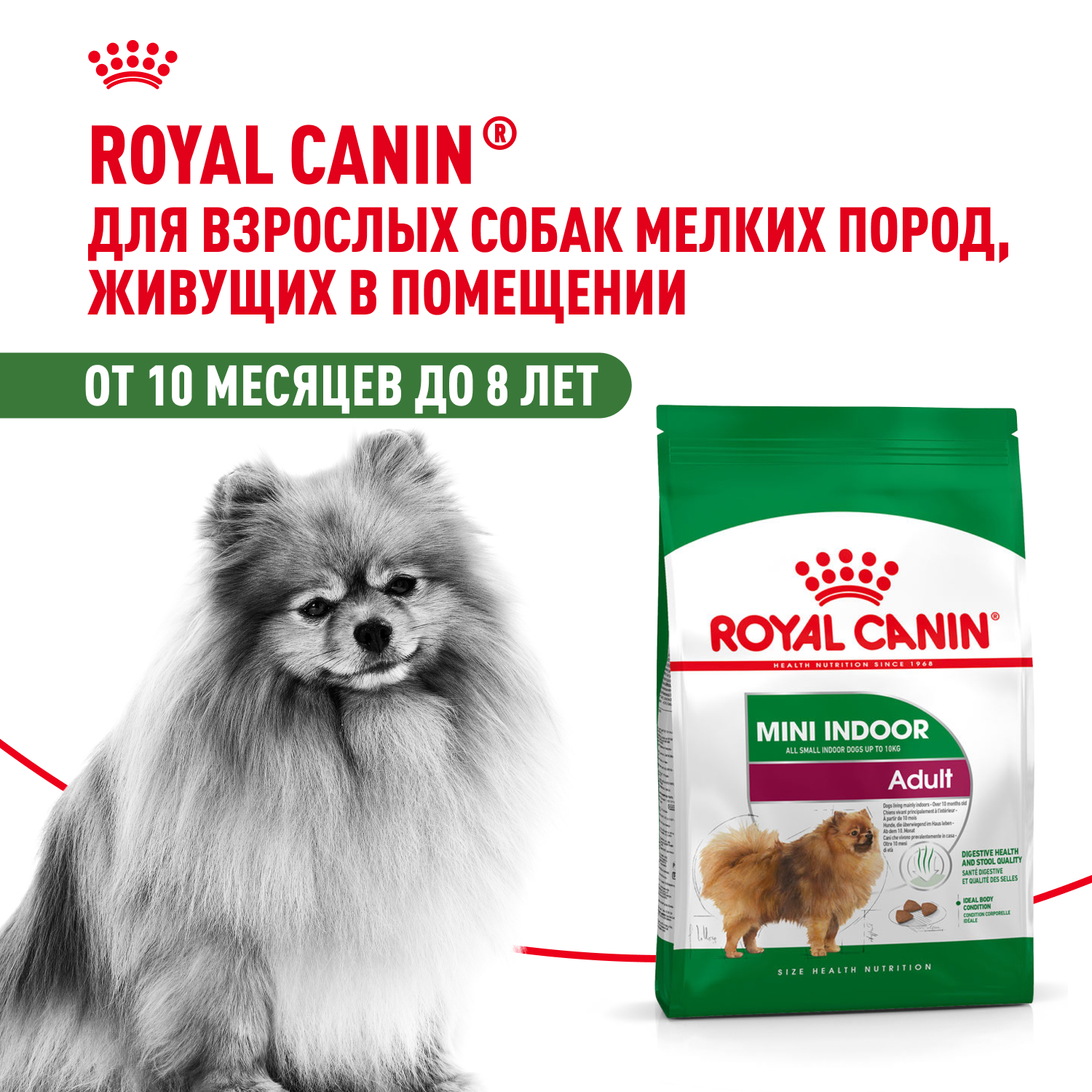 Royal Canin Mini Indoor Adult для собак мелких пород живущих в помещении (Птица, 500 г.)