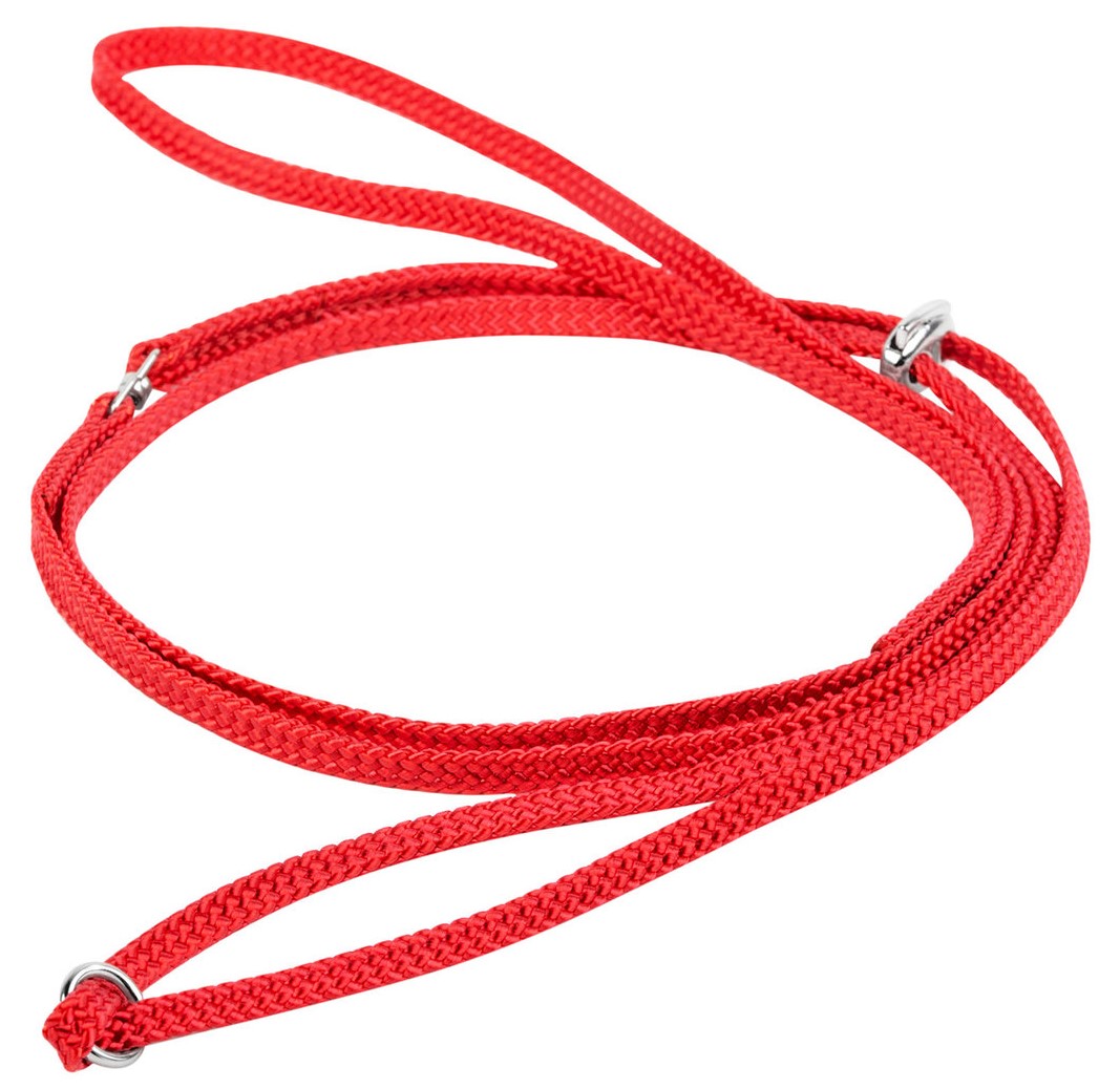 Collar ринговка Dog Extremе нейлоновая (Красный)