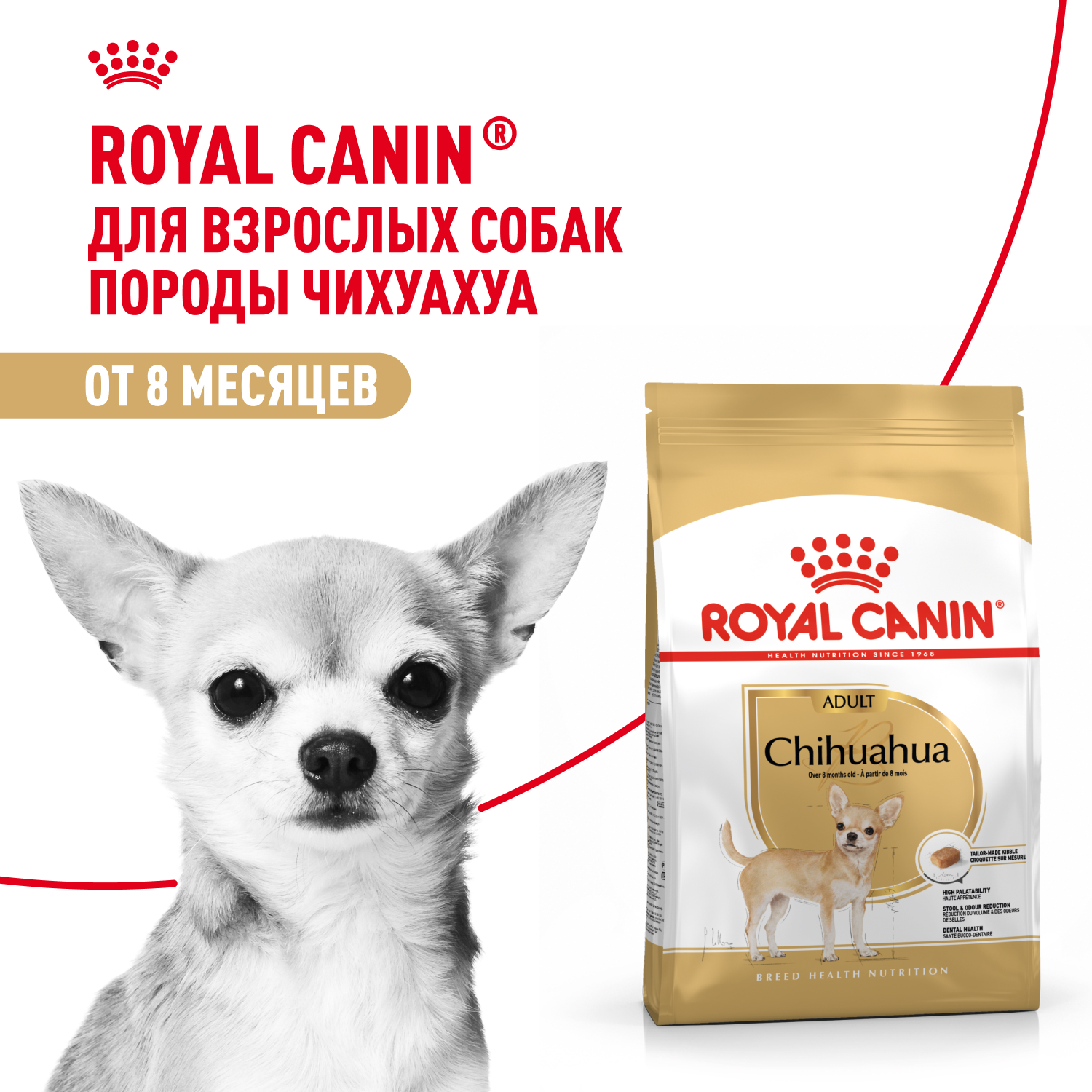 Корм сухой для взрослых собак породы Чихуахуа от 8 месяцев, Chihuahua Adult