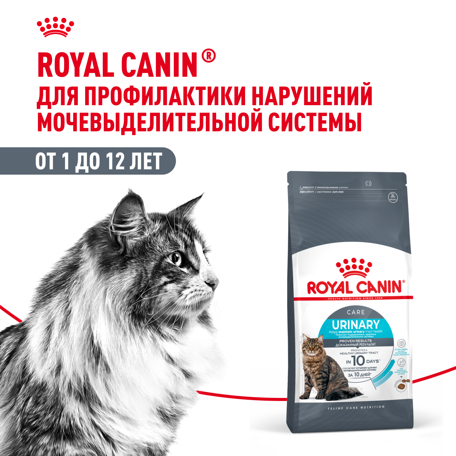 Корм сухой для взрослых кошек для поддержания здоровья мочевыделительной системы, Urinary Care