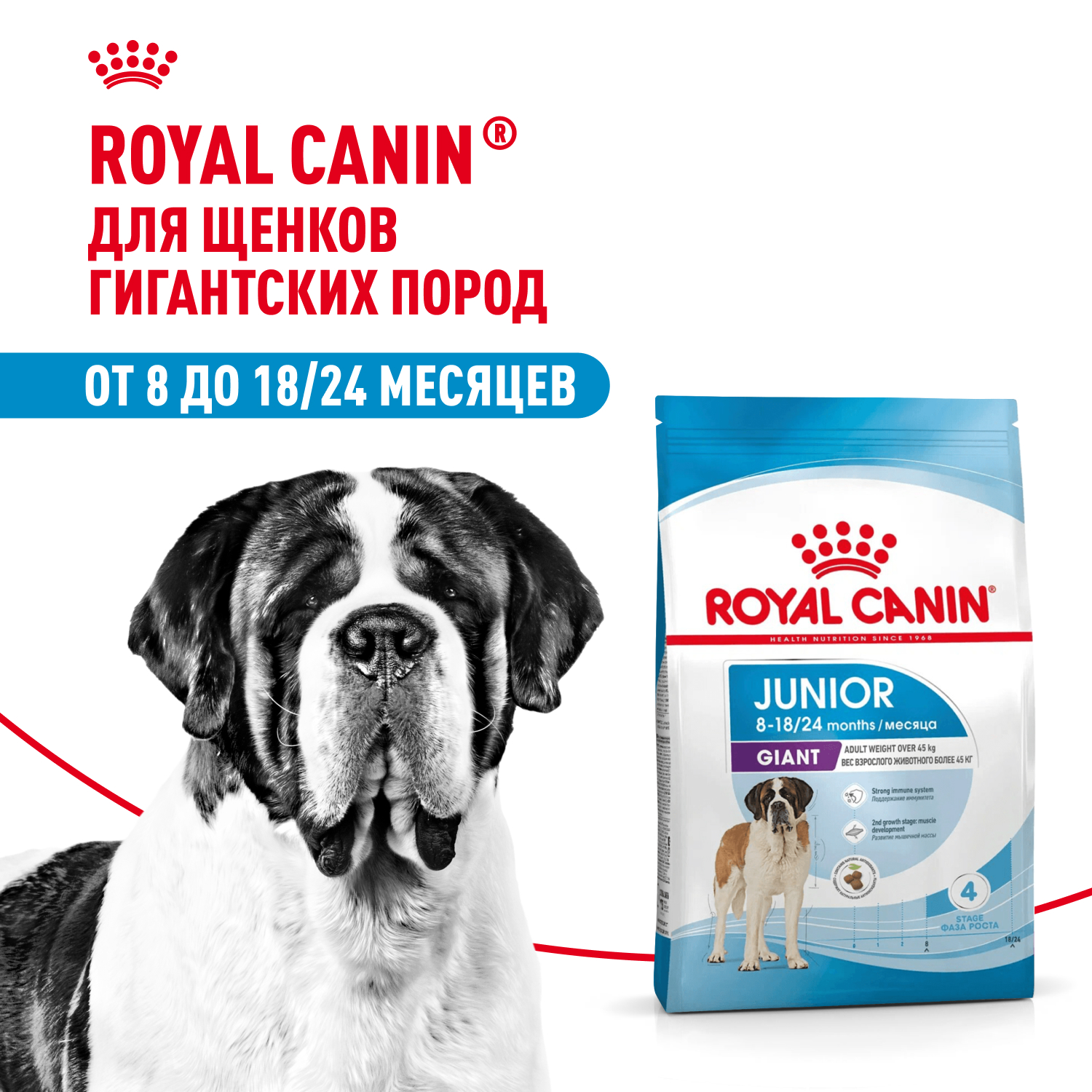 Royal Canin Giant Junior для щенков от 8 месяцев гигантских пород (Птица, 3,5 кг.)