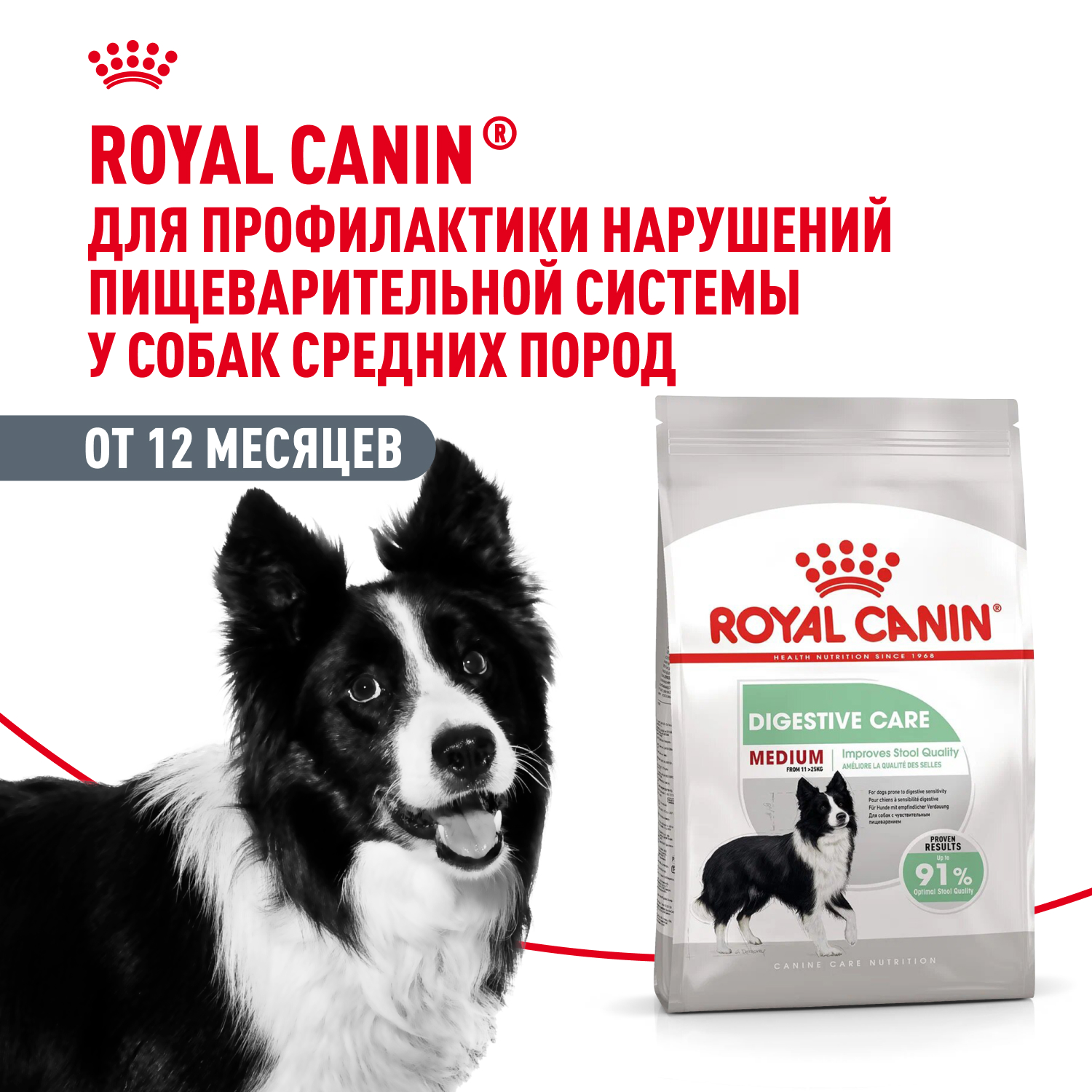 Корм сухой для взрослых собак средних пород с чувствительным пищеварением, Medium Digestive Care