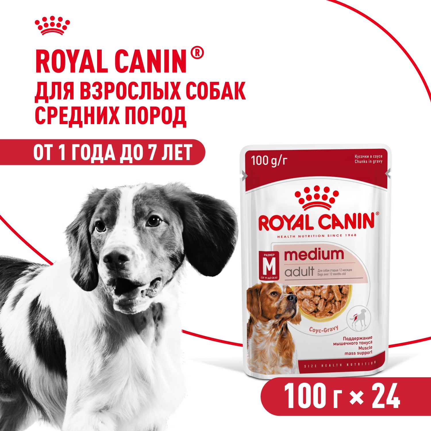 Royal Canin Medium Adult пауч для взрослых собак средних пород (соус) (Птица, 100 г. упаковка 24 шт)