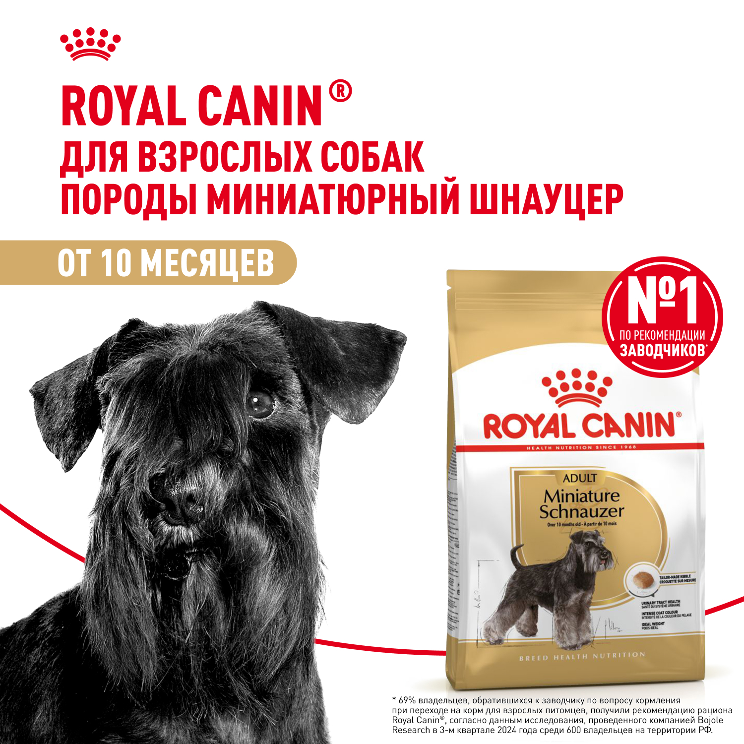 Корм сухой для взрослых собак породы Миниатюрный Шнауцер от 10 месяцев, Miniature Schnauzer Adult