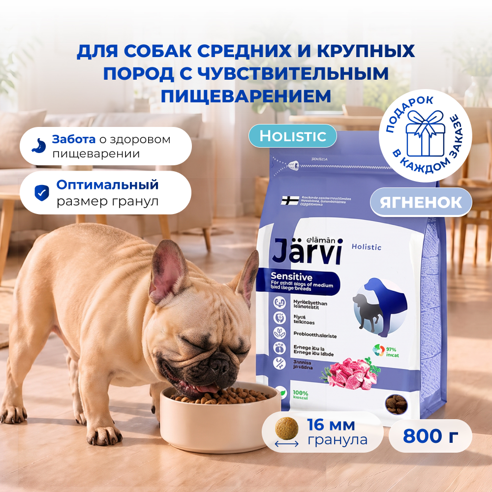 Jarvi сухой полнорационный корм для взрослых собак средних и крупных пород с чувств. пищеварением (Ягненок, 800 г.)