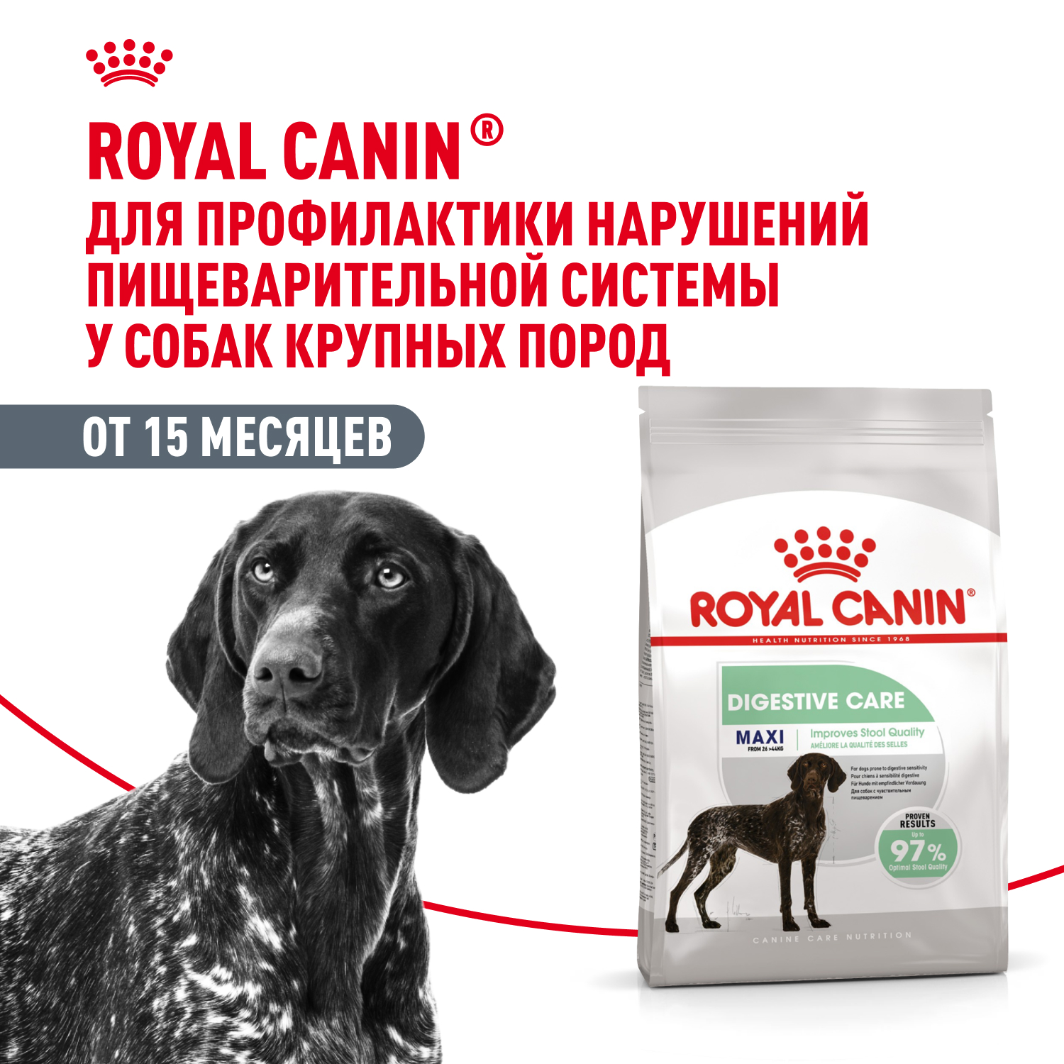 Корм сухой для взрослых собак больших размеров с чувствительным пищеварением, Maxi Digestive Care