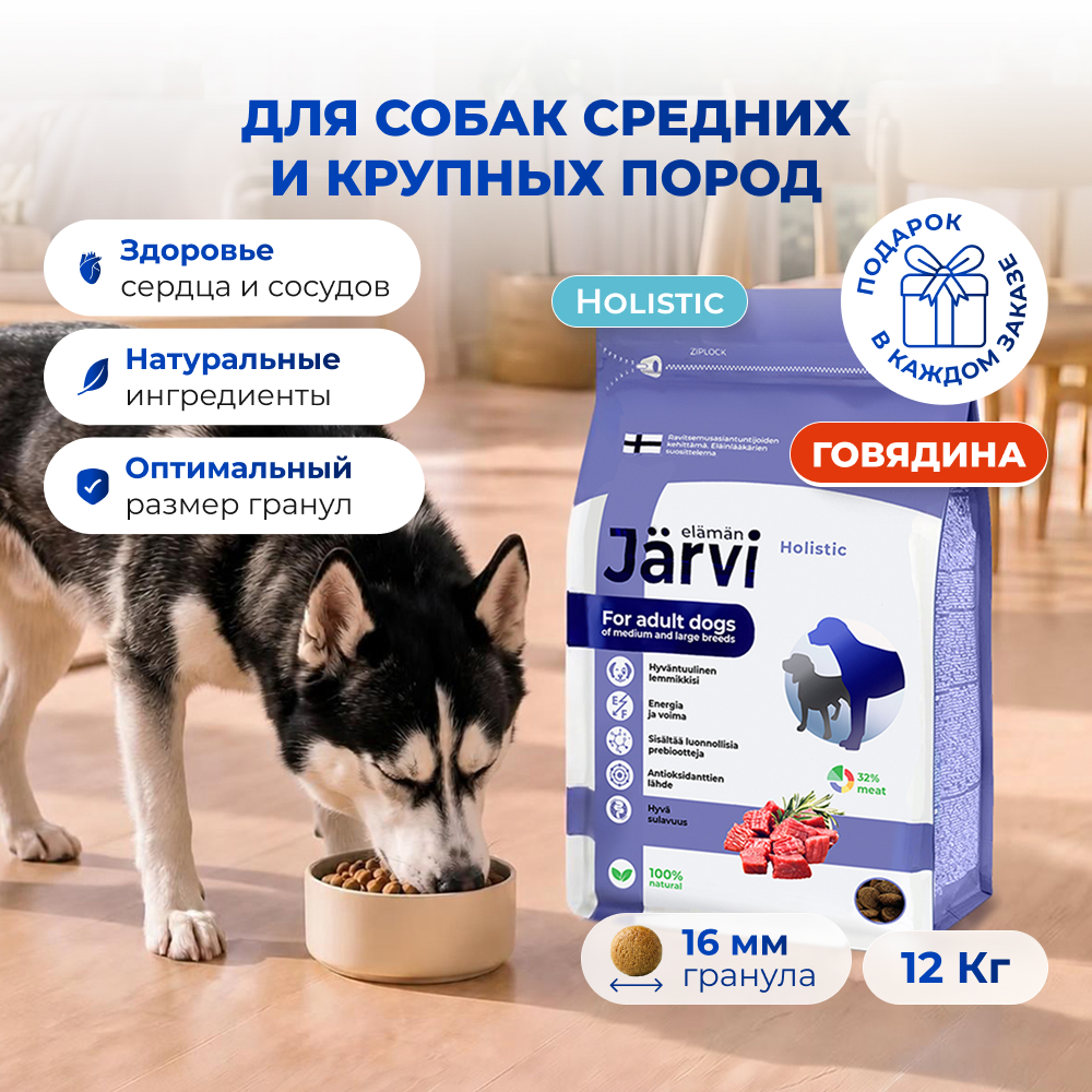 Jarvi сухой полнорационный корм для взрослых собак средних и крупных пород (Говядина, 12 кг.)