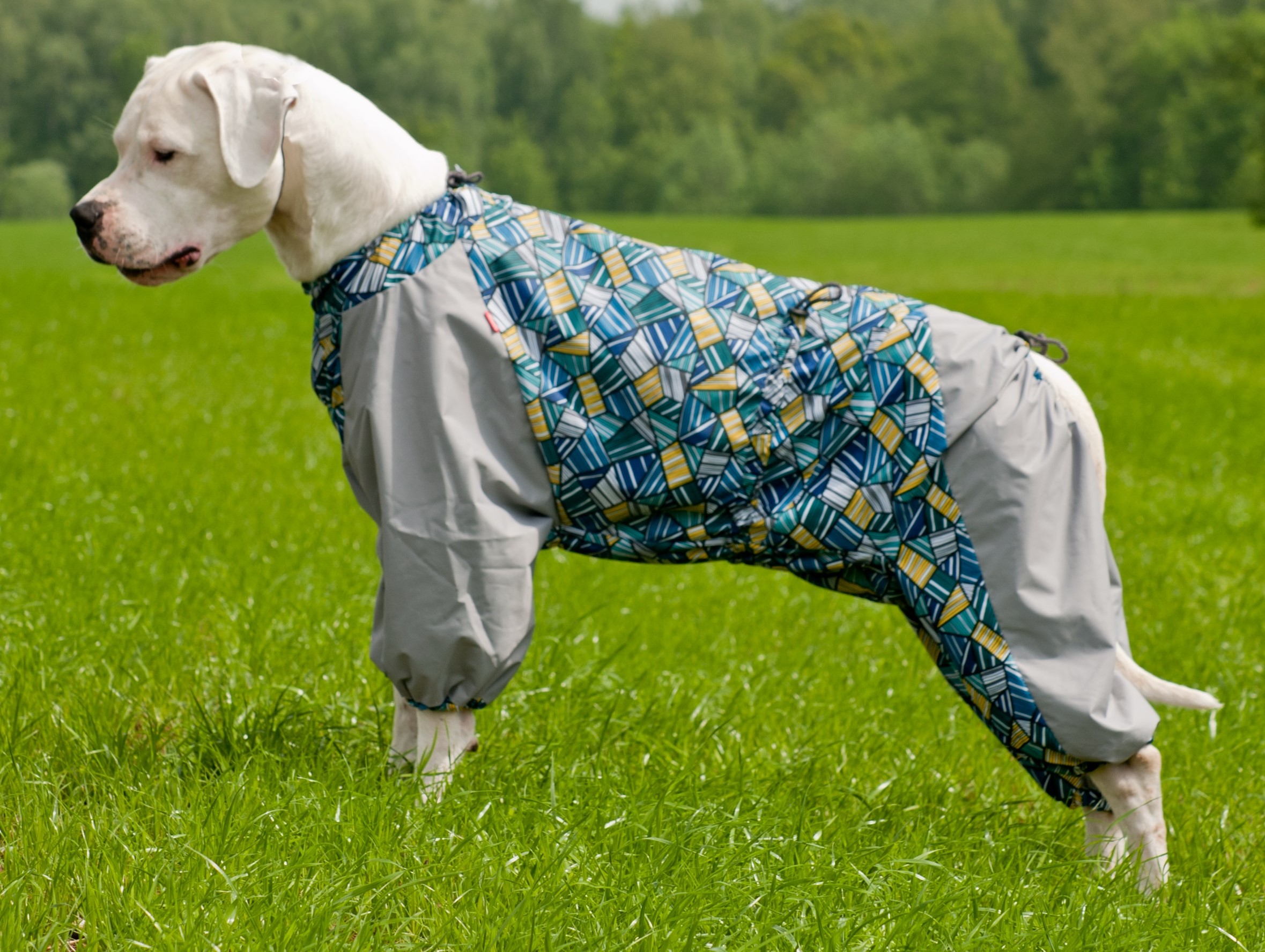 Happy Puppy Комбинезон для собак "Мопс" (M, Мальчик)