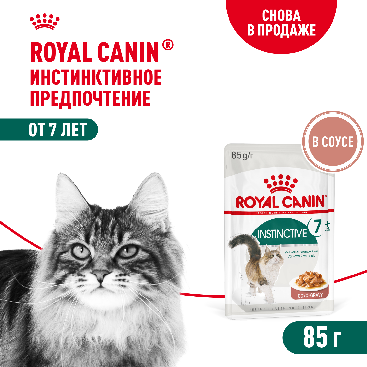 Royal Canin Instinctive +7 пауч для кошек старше 7 лет (кусочки в соусе) (Птица, 85 г.)