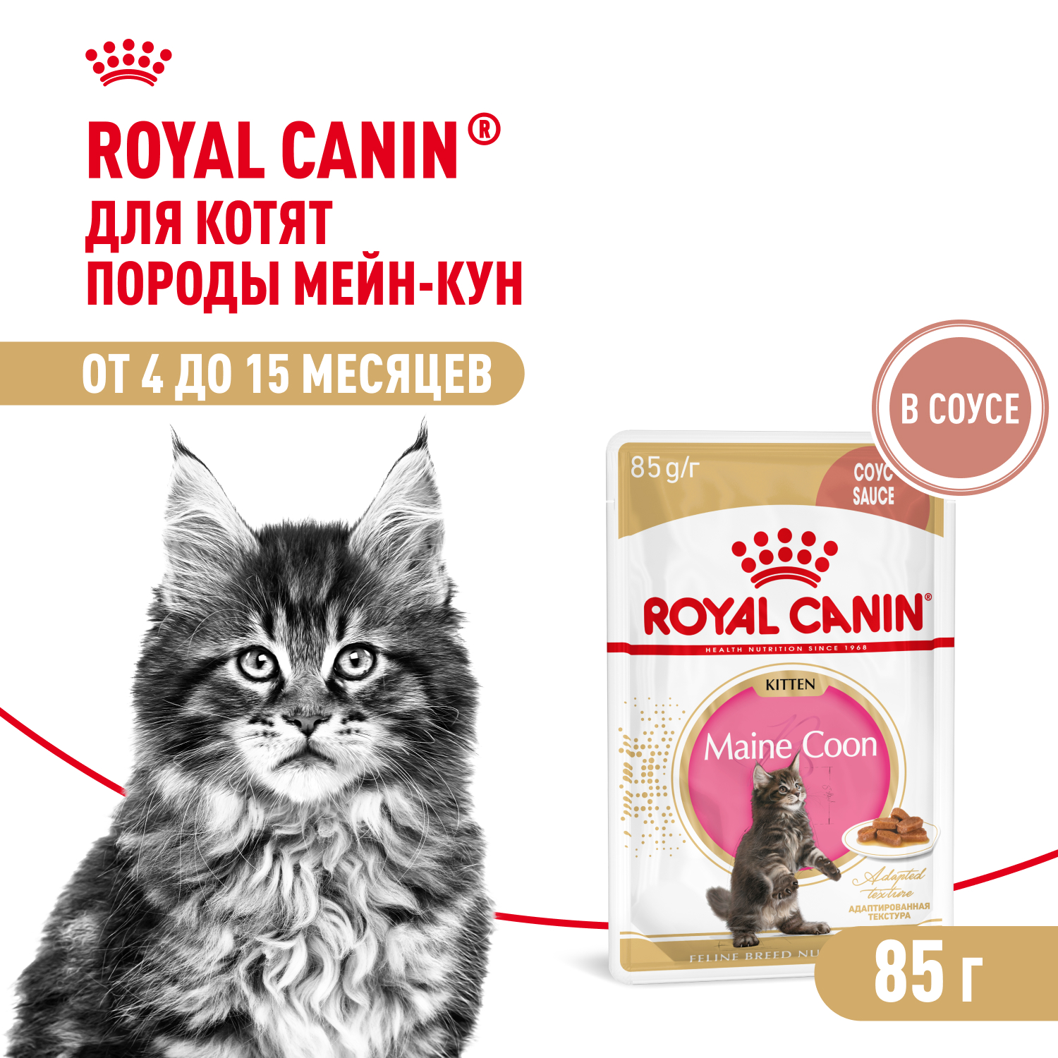 Royal Canin Maine Coon Kitten пауч для кошек породы мейн кун