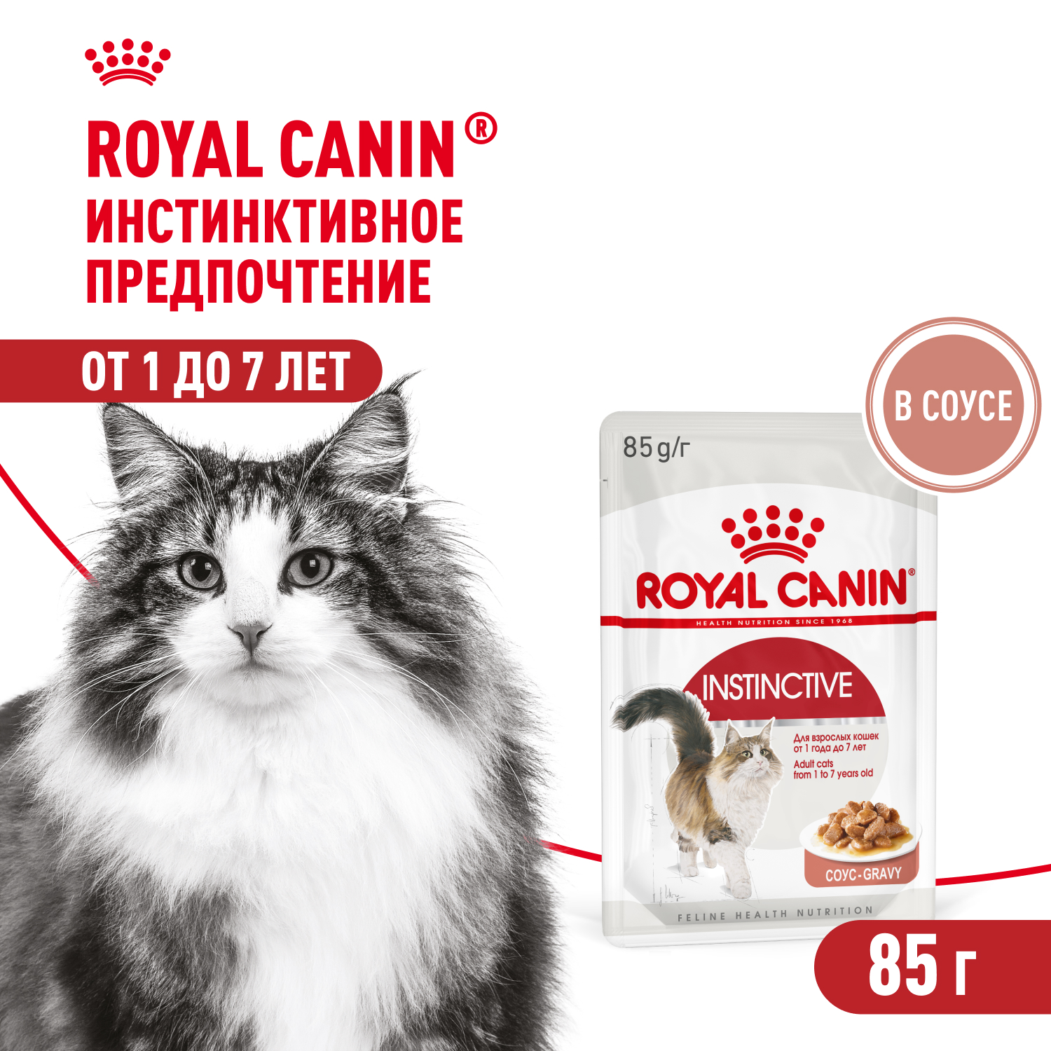 Royal Canin Instinctive пауч для кошек (кусочки в соусе) (Птица, 85 г.)
