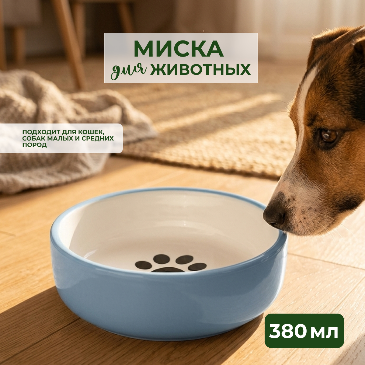 Mr.Kranch MEOW миска керамическая для кошек, 380 мл, синяя