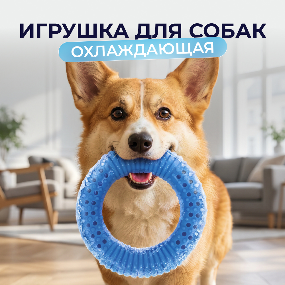 M-Pets игрушка для собак охлаждающая Кольцо (10,8 см., Голубой)