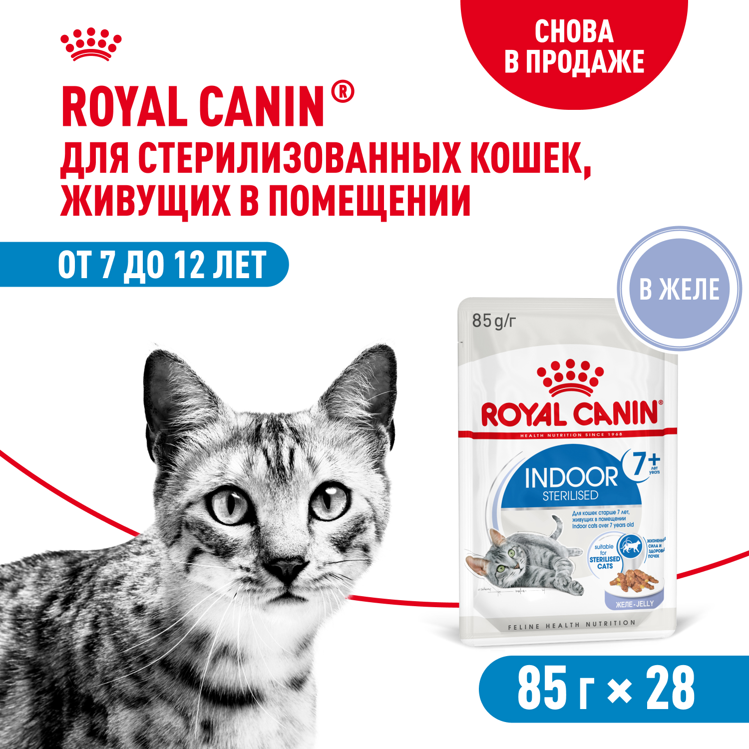 Royal Canin Indoor +7 пауч для домашних кошек старше 7 лет