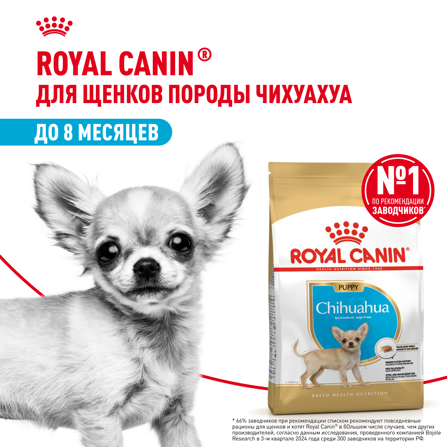 Корм сухой для щенков породы Чихуахуа до 8 месяцев, Chihuahua Puppy