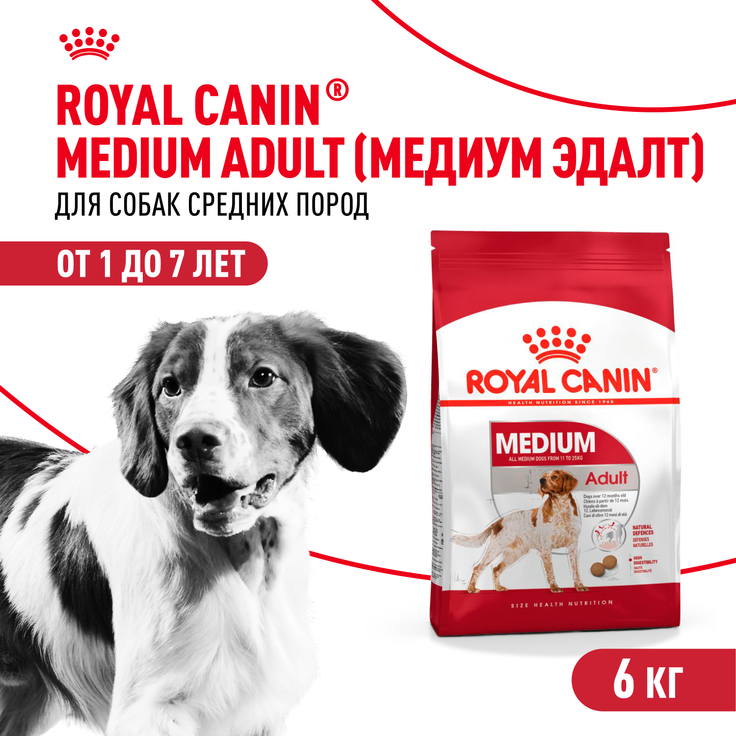 

Royal Canin Medium Adult для взрослых собак средних пород (Курица, 6 кг.)