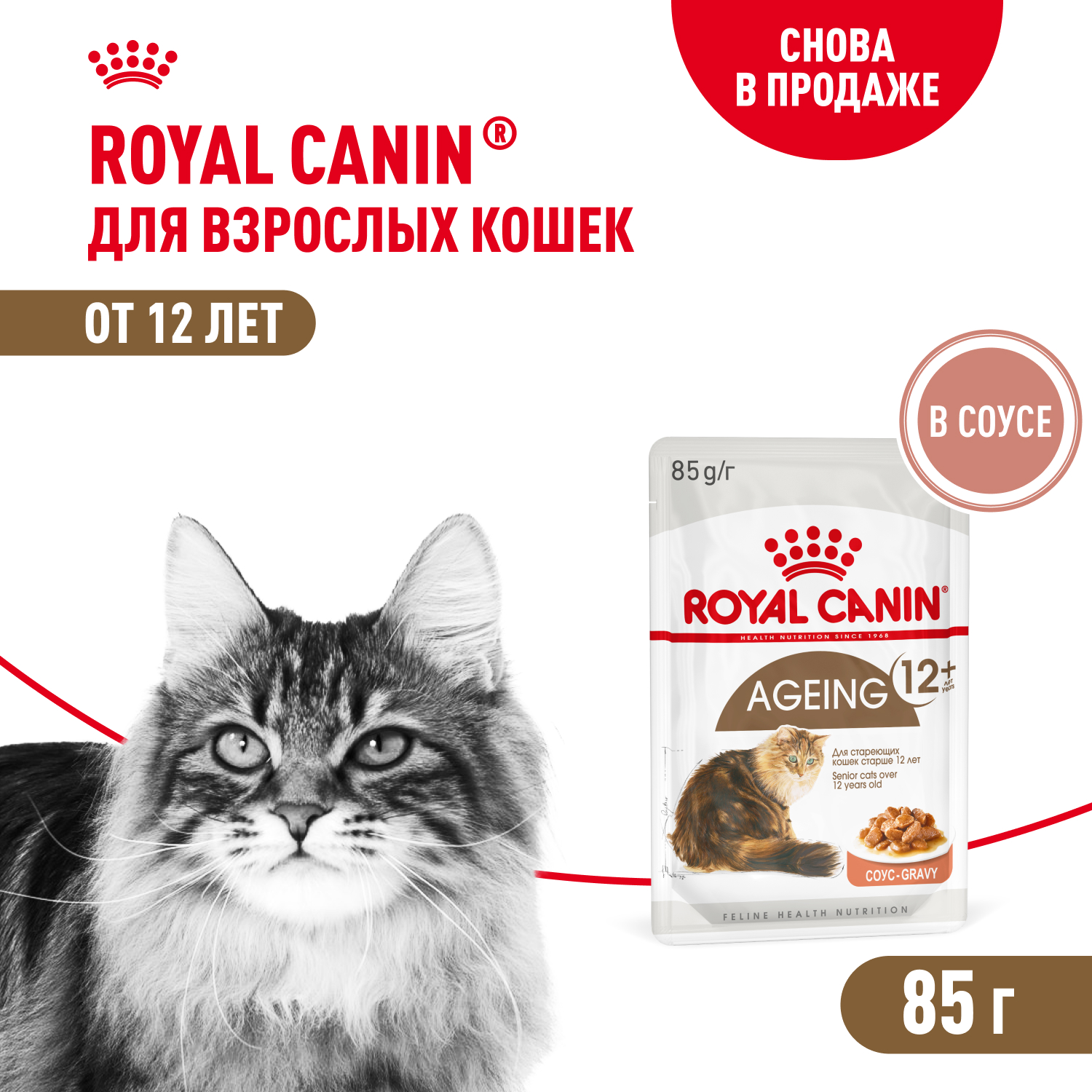 Royal Canin Ageing +12 пауч для кошек старше 12 лет (кусочки в соусе) (Птица, 85 г.)