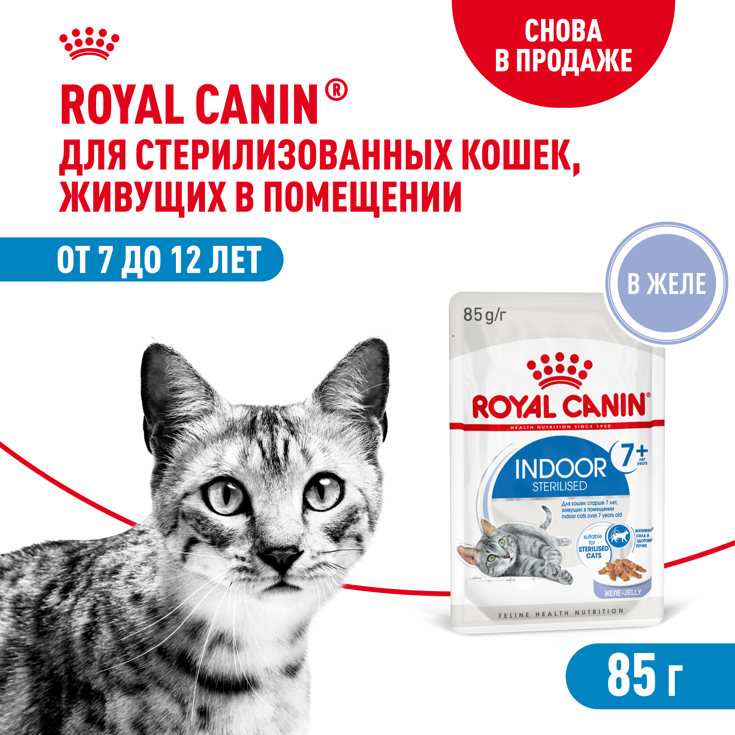 Royal Canin Indoor +7 пауч для домашних кошек старше 7 лет (кусочки в желе) (Птица, 85 г.)
