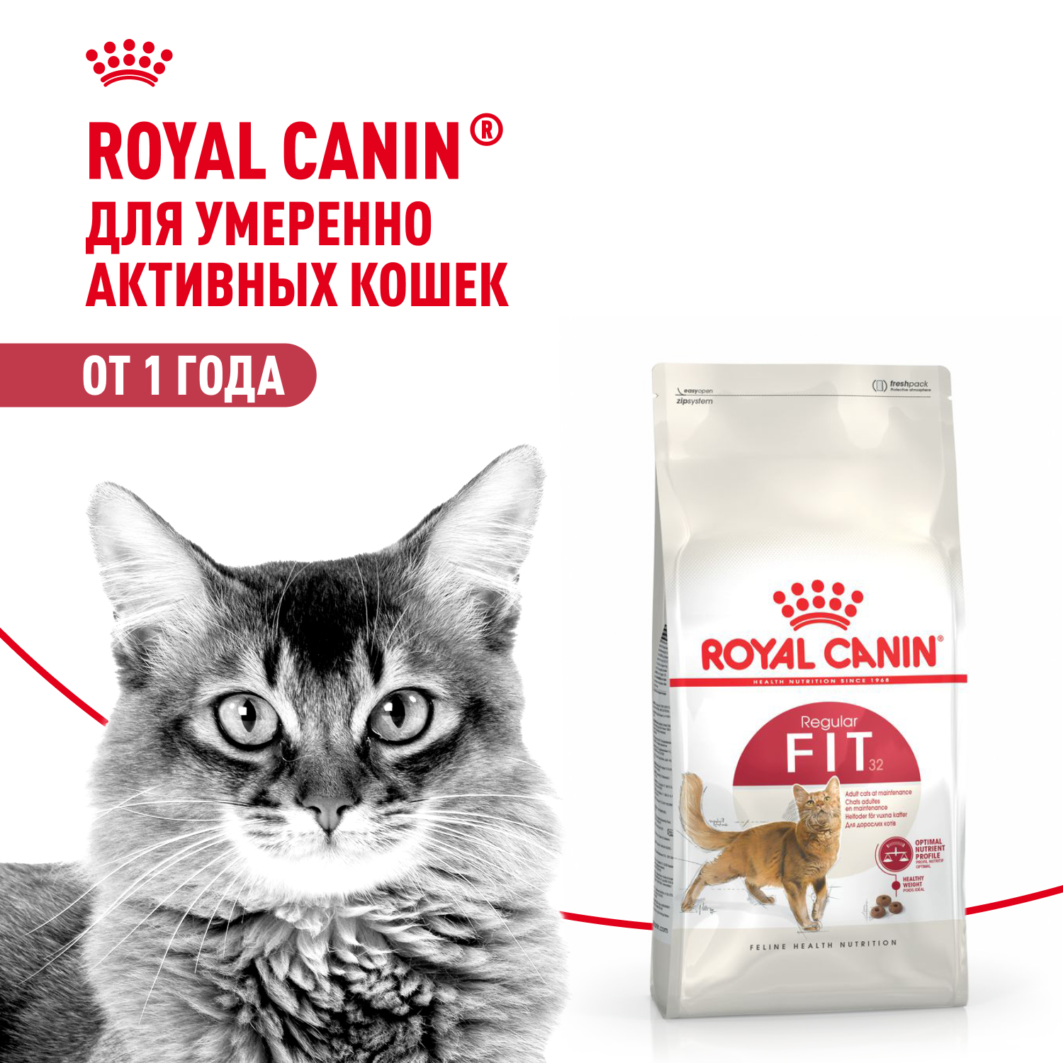 Royal Canin Fit для кошек бывающих на улице (Курица, 4 кг.)