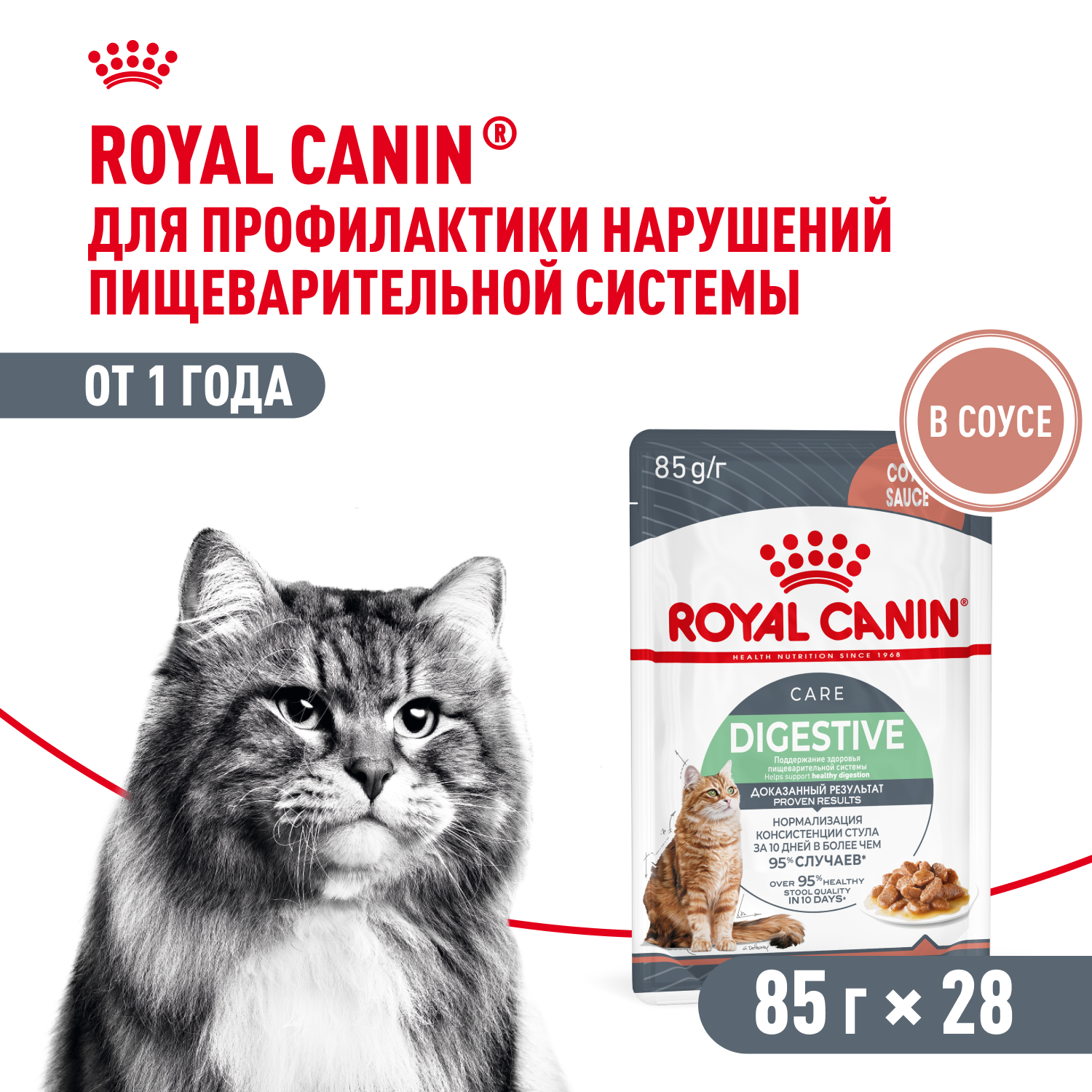 Royal Canin Digestive Care пауч для кошек с чувствительным пищеварением