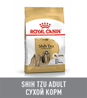 Royal canin shih tzu 2024 24