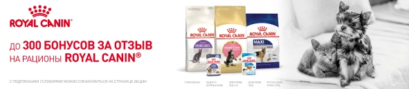 300 рублей за отзыв на продукцию Royal Canin