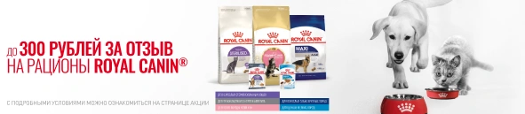 300 рублей за отзыв на продукцию Royal Canin