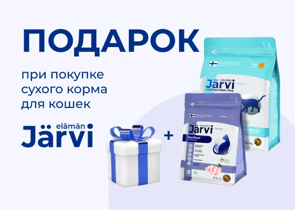 Подарки при покупке сухого корма JARVI для кошек