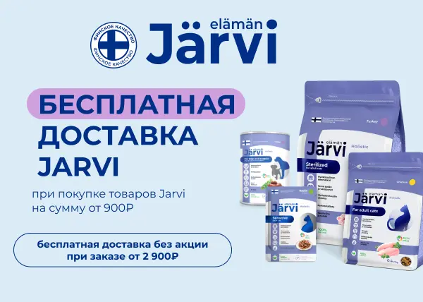 Бесплатная доставка Jarvi
