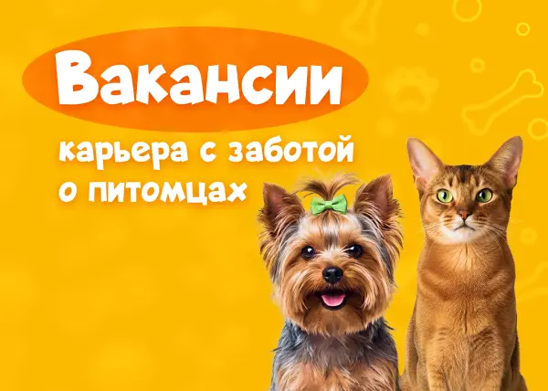 Вакансии компании ЗооОптТорг.РФ