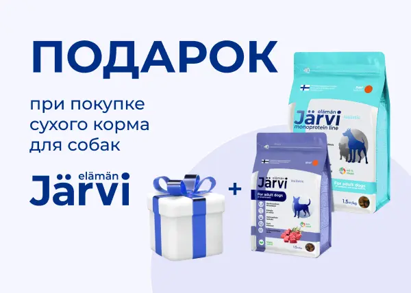 Подарки при покупке сухого корма JARVI для собак