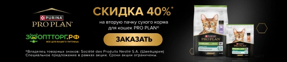 Скидка 40% на вторую пачку сухого корма для кошек PRO PLAN
