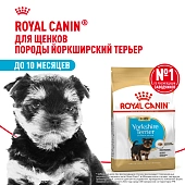 Royal Canin Yorkshire Terrier Puppy корм для щенков породы йоркширский терьер