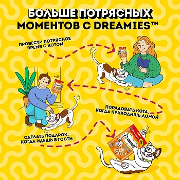 Dreamies лакомые подушечки