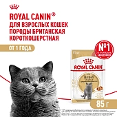 Royal Canin British Shorthair Adult пауч для кошек британской породы (кусочки в соусе)