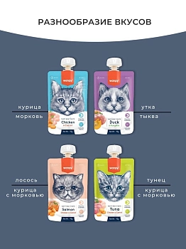 Wanpy Cat Лакомство для кошек Мясной мусс
