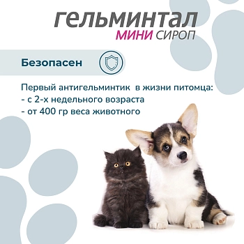 Гельминтал мини сироп для щенков и котят
