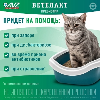 Ветелакт